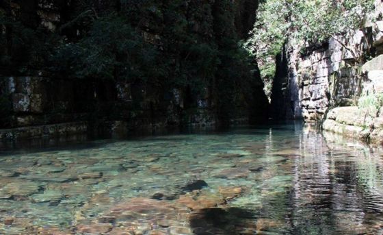 Parque Ricardo Franco