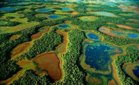 Chaco Pantanal