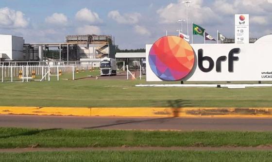 A principal planta da BRF em Mato Grosso é na cidade de Lucas do Rio Verde, no Norte do Estado