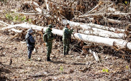 Operação Amazônia fiscaliza municípios que mais desmatam em Mato Grosso