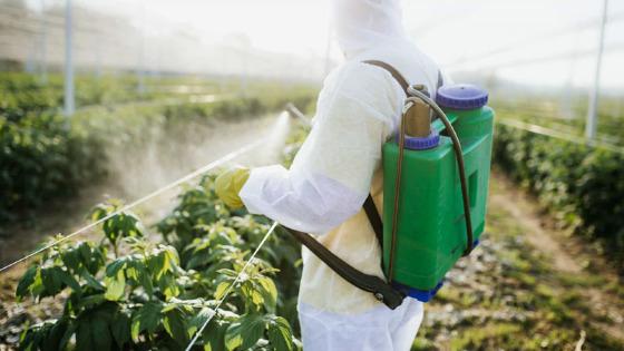 Em 2020, o governo liberou 493 tipos de agrotóxicos - a maioria, tóxica