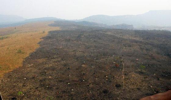 O incêndio durou cinco dias e foi controlado por uma força-tarefa coordenada pelo Corpo de Bombeiros