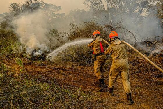 Incêndio no Pantanal