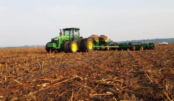 Serão 313 mil hectares de soja cultivados pela Bom Futuro, em 33 propriedades rurais em Mato Grosso