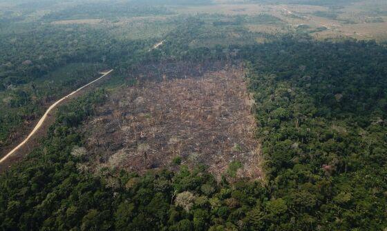 Dados do Imazon apontam que foram desmatados 1,6 mil quilômetros quadrados