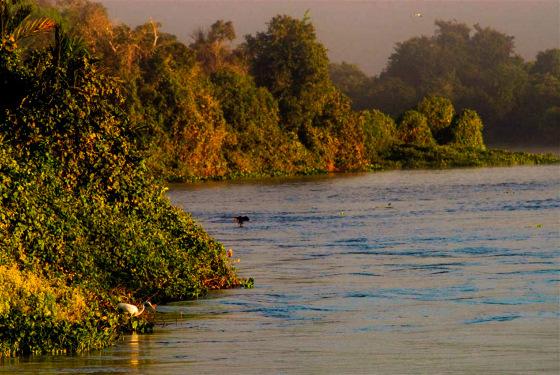 Rio Paraguai, no Pantanal, não seria adequado para escoar a produção do agronegócio