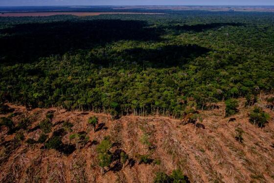 Desmatamento em Mato Grosso