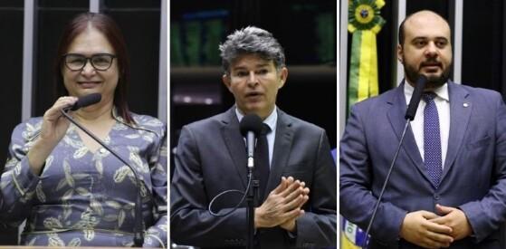 Rosa Neide, José Medeiros e Dr. Leonardo foram os que mais apresentaram proposições durante o mandato até aqui