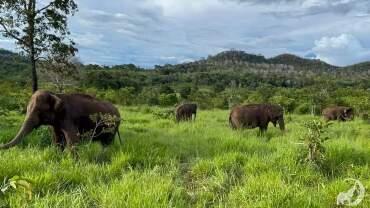 Santuário Chapada
