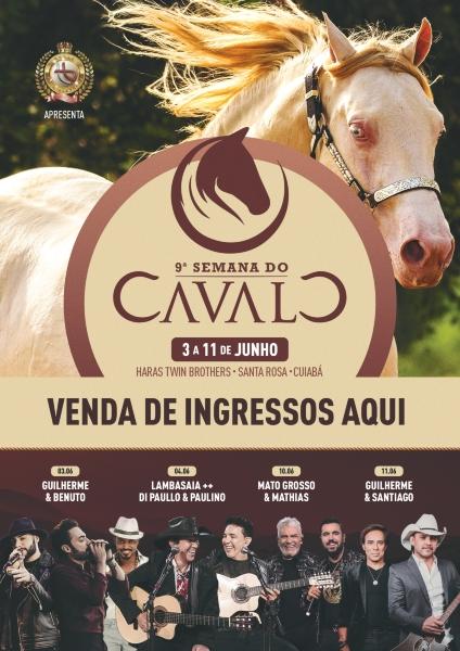 cavalo2