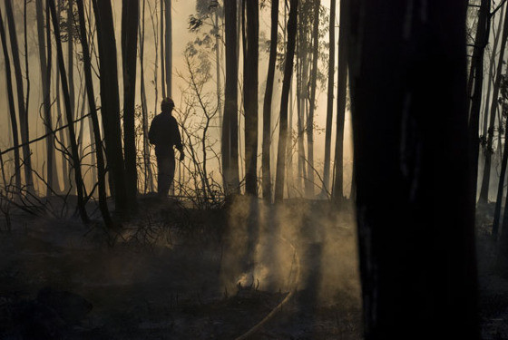 Incêndio florestal queimadas