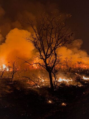 Queimada incêndio 3