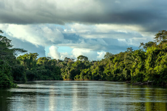 Parque Estadual do Cristalino