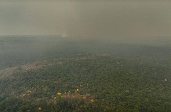 Incêndio no Parque Estadual do Cristalino II