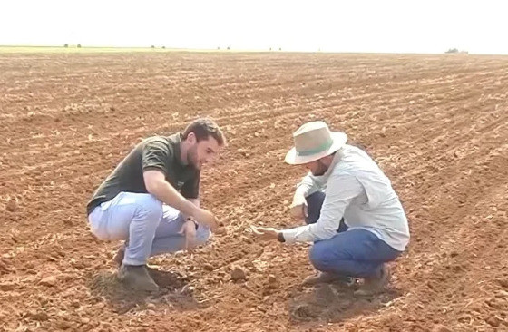 plantio soja em mato grosso