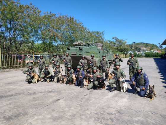 cães de guerra GMVG