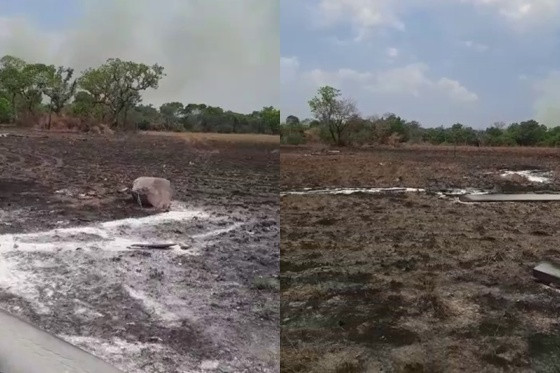 Invasão, povo Kanela, grileiro