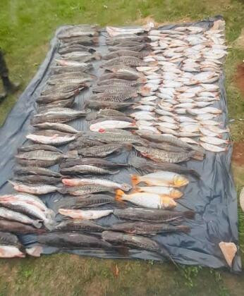 pescado irregular cuiabá 