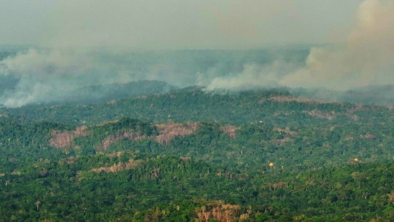 Fogo no parque Cristalino II em agosto de 2022