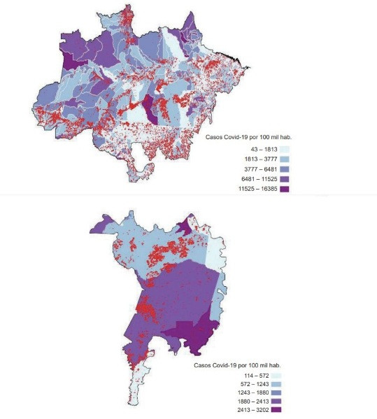 covid e queimada