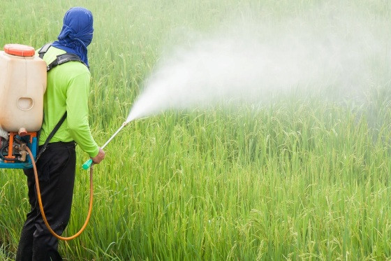 Agrotóxicos sendo aplicados em lavoura