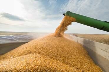 MT responde por 18,8% de toda produção do agronegócio do Brasil