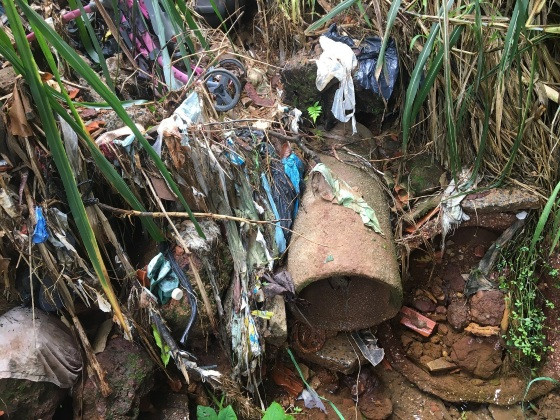 Nascente identificada pelo projeto Água Para o Futuro, em Chapada dos Guimarães, está totalmente degradada