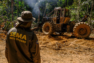 Conselho anula multa de R$ 9 milhões aplicada a madeireiro em MT