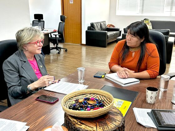 Reunião da senadora Margareth Buzetti com a presidente da Funai Joênia Wapichana