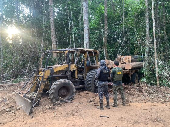 Fiscalização da Sema contra madeira ilegal na Estação Ecológica Rio Ronuro,