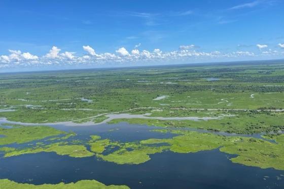 pantanal, área úmida