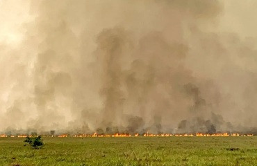 Fogo, Incêndio, Pantanal, Parque Estadual