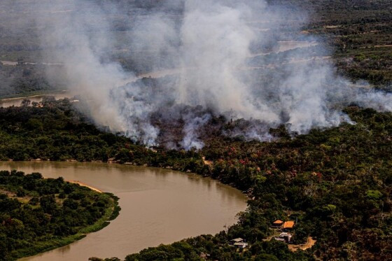 Incêndio fogo no Pantanal