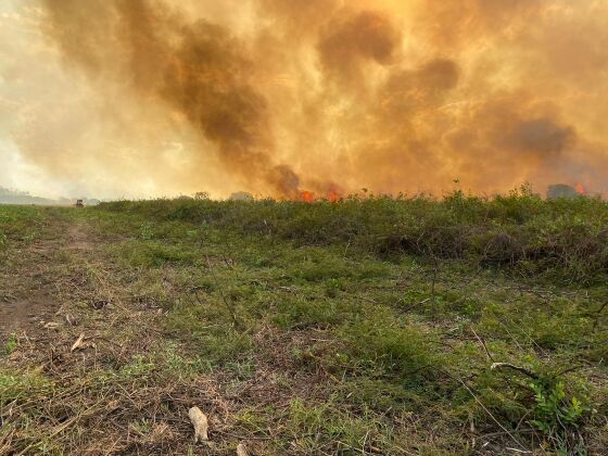 Incêndio no Pantanal