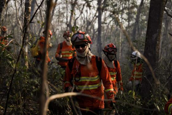 Incêndio pantanal, bombeiros