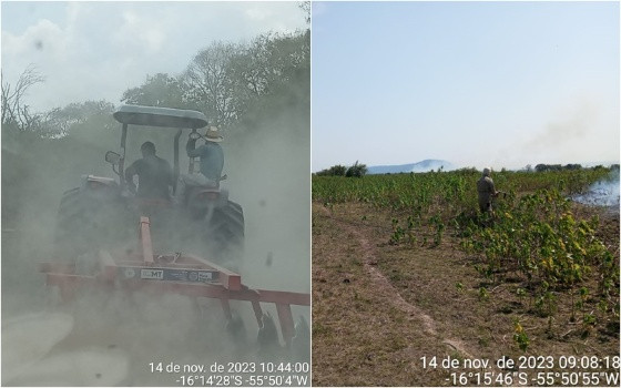 incêndio pantanal mimoso