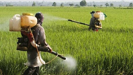 Agrotóxicos, pesticidas