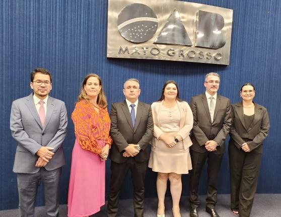 Hélio Nishiyama, Dinara de Arruda Oliveira, Flaviano Kleber Taques Figueiredo, Gláucia Anne Kelly do Amaral, Abel Sguarezi e Juliana Zafino I. Ferreira Mendes