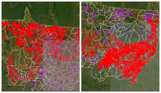 Desmatamento ilegal, Cerrado, Amazônia, ICV