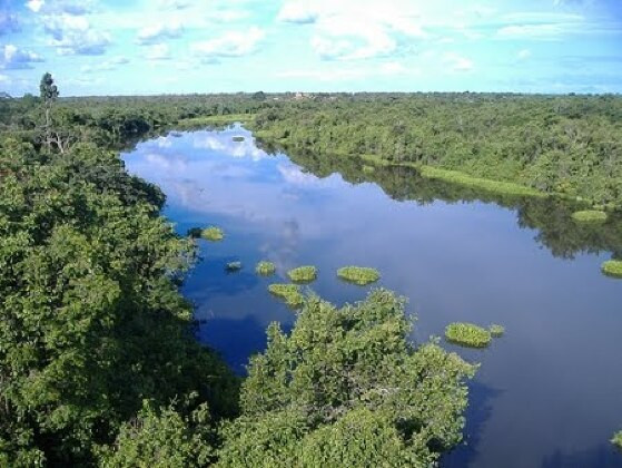 Área de Proteção Ambiental (APA) Cabeceiras do Rio Cuiabá.