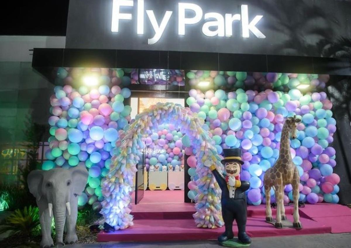 Fly Park5