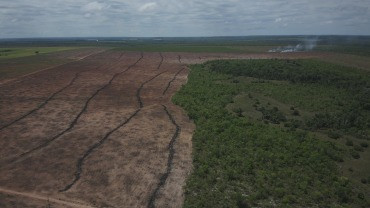 Desmatamento em MT cai 32%, mas ilegalidades ainda predominam