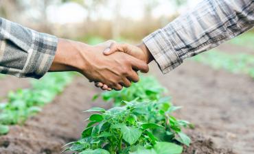 Simpósio discutirá legislação, IA e aspectos da recuperação judicial do produtor rural