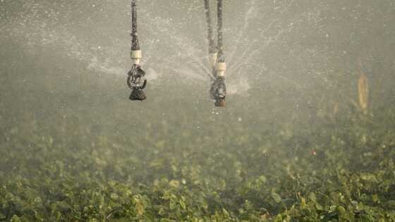 Pivô Central, irrigação, plantação, soja