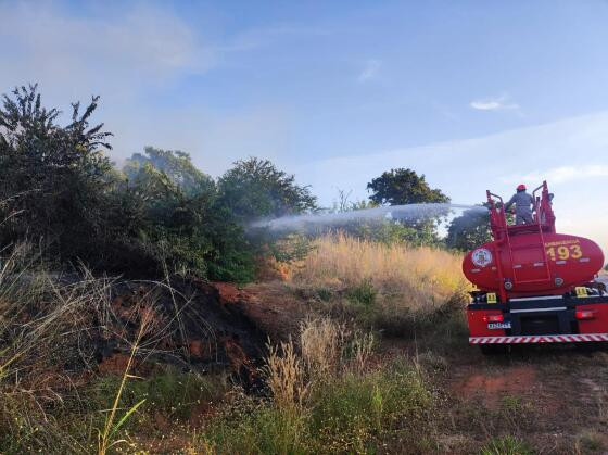 BOMBEIROS VEGETACAO.jpg