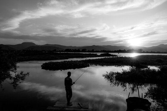 pantanal fotografia exposição