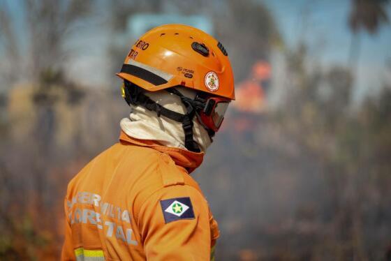 queimadas incêndios pantanal cerrado mt chamas 