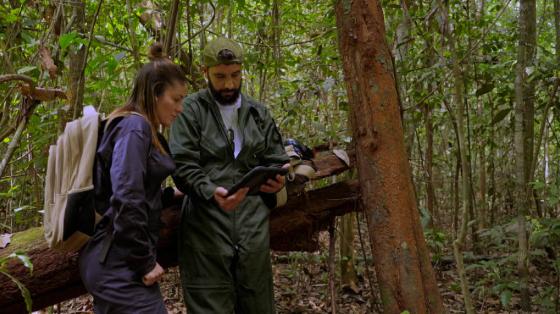sobrevivência extrema reality discovery piloto
