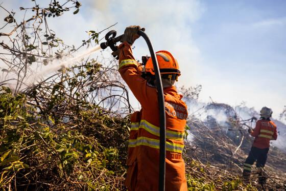 BOMBEIROS CHAMAS, FOGO, PANTANAL