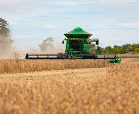 Número de recuperações no agronegócio sobe 529% em MT